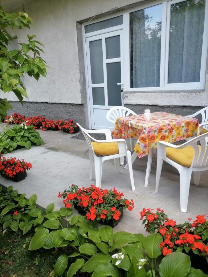 Pavicevic Apartment Soko Banja Ngoại thất bức ảnh