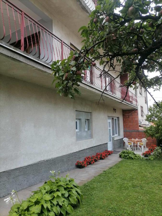 Pavicevic Apartment Soko Banja Ngoại thất bức ảnh