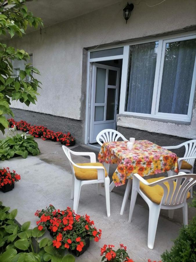 Pavicevic Apartment Soko Banja Ngoại thất bức ảnh