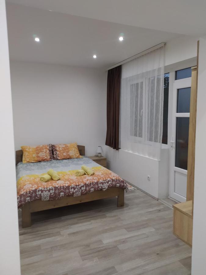 Pavicevic Apartment Soko Banja Ngoại thất bức ảnh